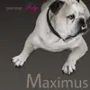 Maximus - Pornstar Tity